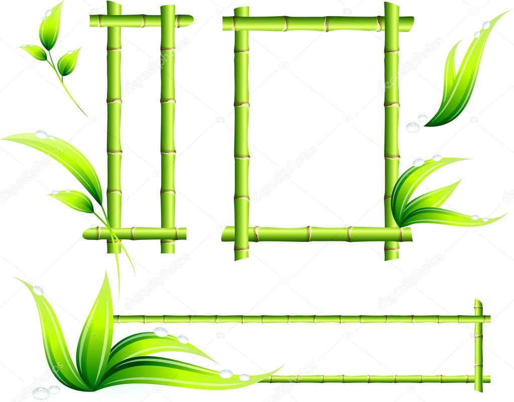 Bamboo Frames