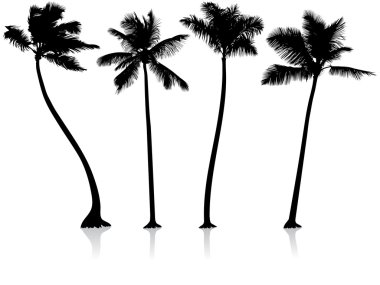 palm trees background clipart