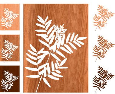 Wild fern on wooden background clipart