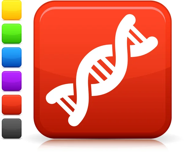 Піктограма ДНК на квадратній кнопці Інтернету — стоковий вектор