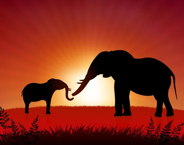 Elefante madre con bambino sullo sfondo del tramonto — Vettoriale Stock