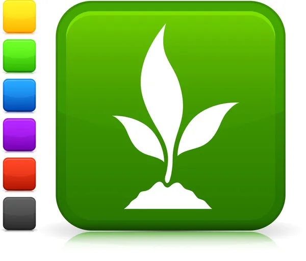 Icono de planta joven en el botón cuadrado de Internet — Vector de stock