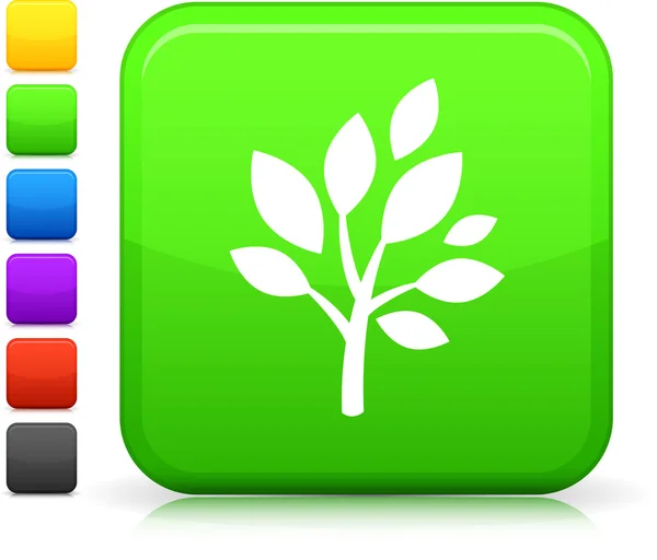 Tree icon on square internet button — Stock Vector