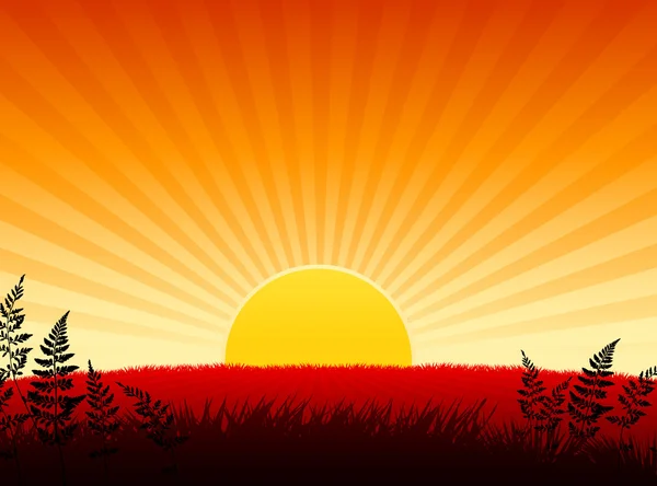Coucher de soleil fond Internet — Image vectorielle