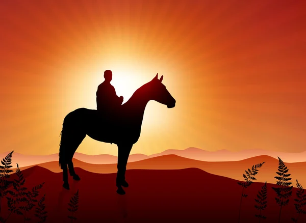 Man on horse sunset background — Stock Vector