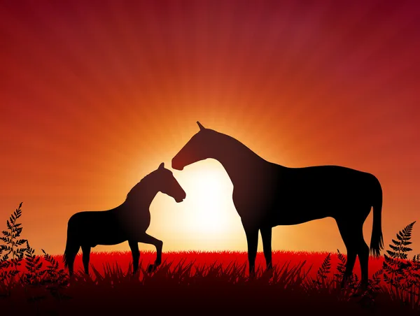Cavallo con bambino sullo sfondo del tramonto — Vettoriale Stock
