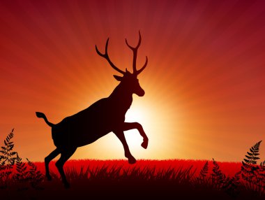 Deer ib Sunset Background clipart