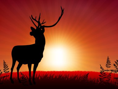 Deer ib Sunset Background clipart