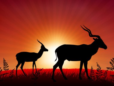 Deer ib Sunset Background clipart