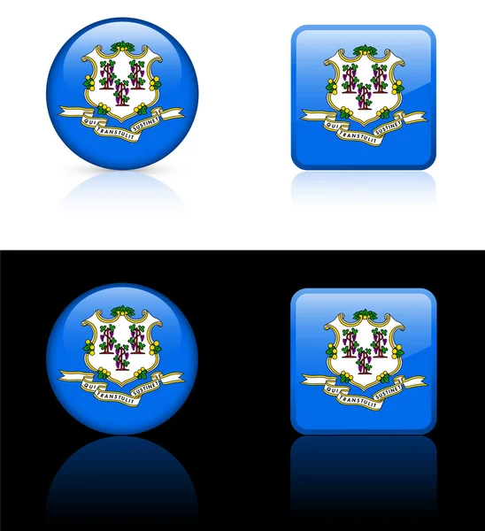 Icône Connecticut sur le bouton Internet — Image vectorielle