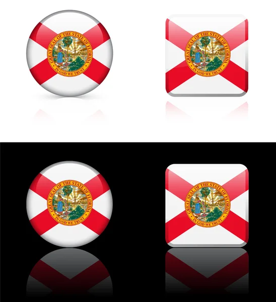 Florida Flag Icon on Internet Button — Stock Vector