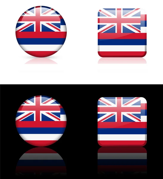 Hawaii bayrak simgesi Internet düğmesini — Stok Vektör