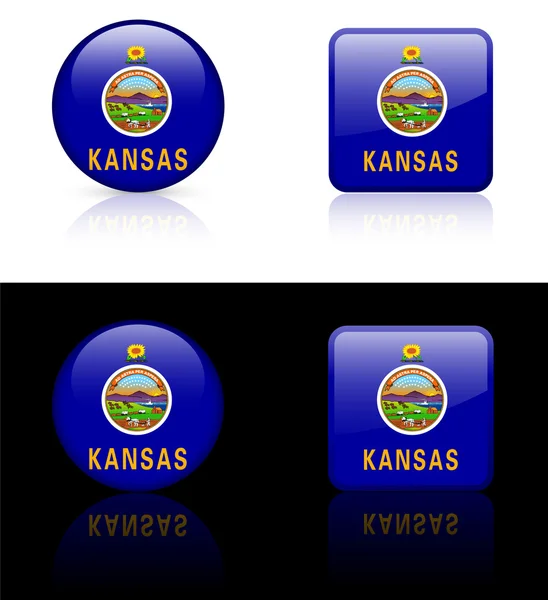 Icona bandiera Kansas sul pulsante Internet — Vettoriale Stock