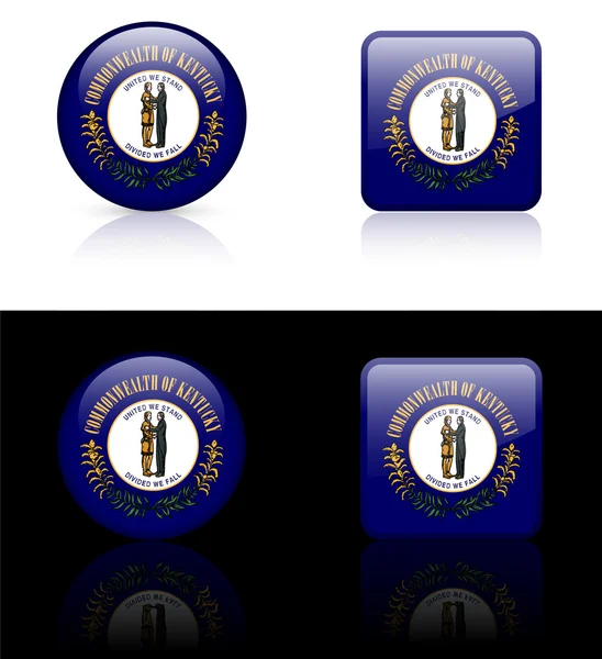 Kentucky Flag Icon on Internet Button — Stock Vector
