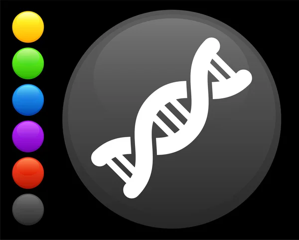 Иконка ДНК на круглой кнопке — стоковый вектор