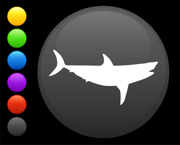 ไอคอนฉลามบนปุ่มอินเทอร์เน็ตรอบ — ภาพเวกเตอร์สต็อก