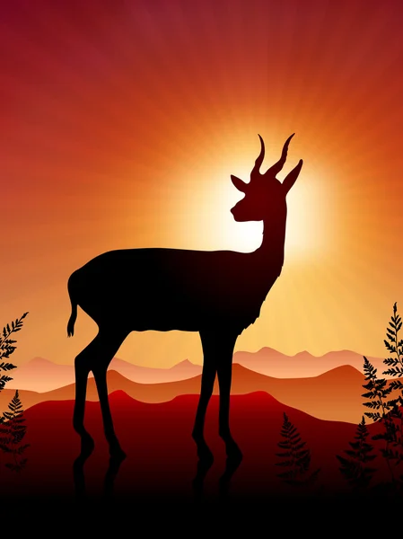 Deer ib Sunset Background — Stock Vector