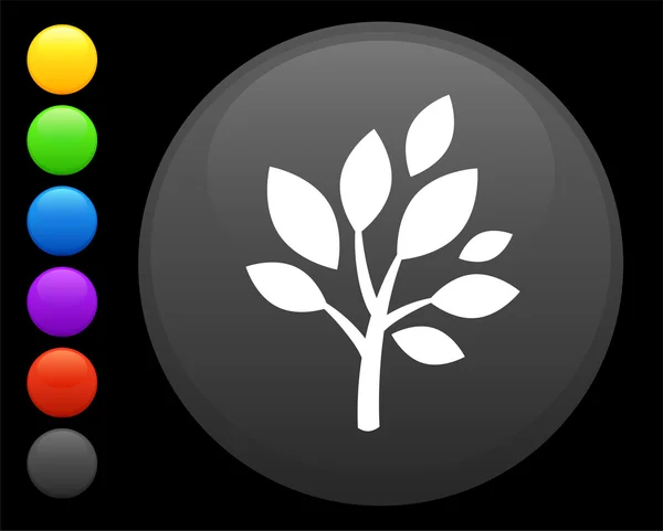 Icono del árbol en el botón redondo de Internet — Vector de stock