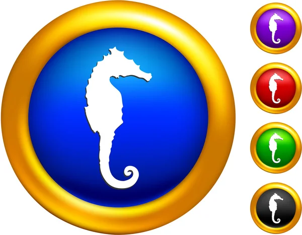 Sea horse icon on buttons with golden borders — Stock Vector