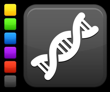 DNA simgesi kare Internet düğme Tarih