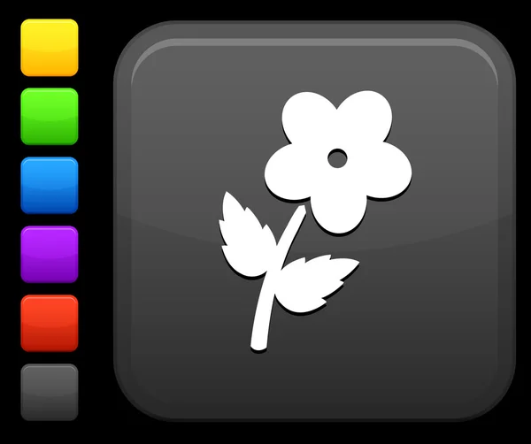 Blumensymbol auf quadratischem Internet-Knopf — Stockvektor