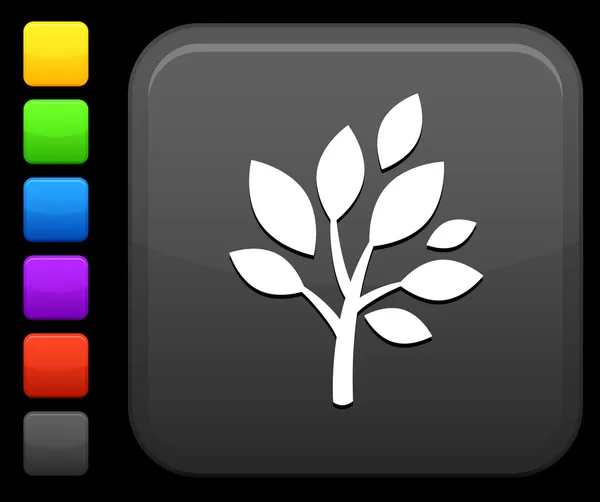 Ikonę drzewa na placu internet przycisk — Wektor stockowy