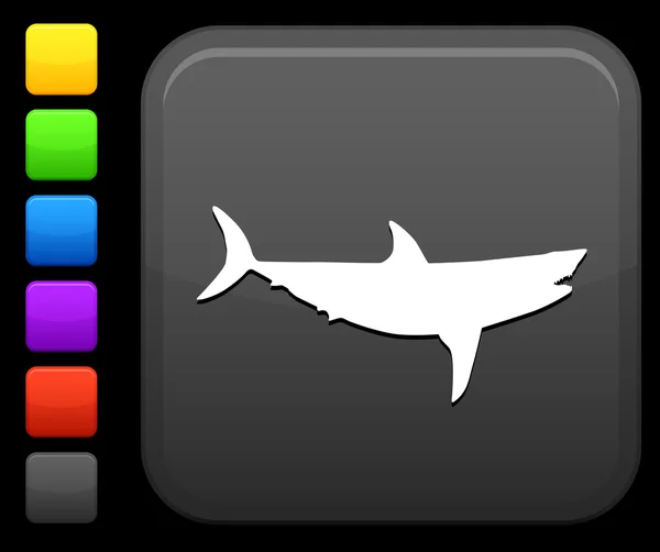Καρχαρίας εικονίδιο στο τετράγωνο κουμπί internet — Διανυσματικό Αρχείο