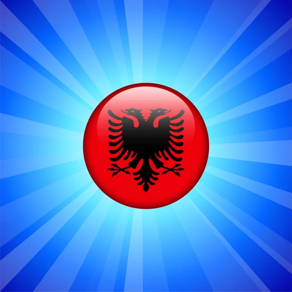 Albania flaga ikona internet przycisk — Wektor stockowy
