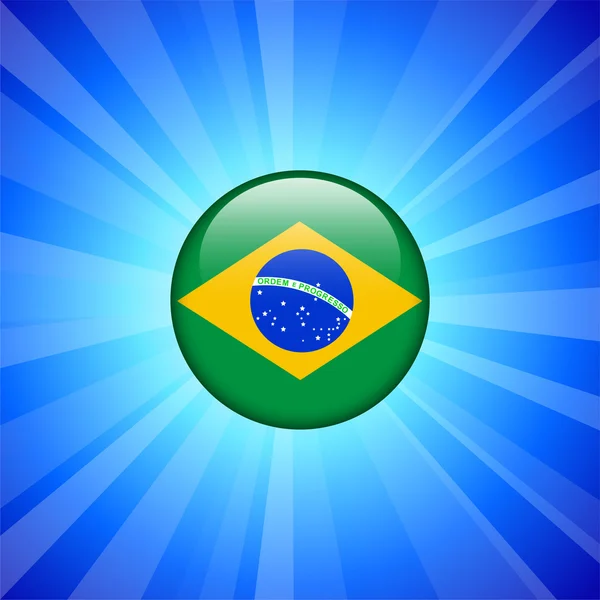 Brazil Flag Icon on Internet Button — Stock Vector
