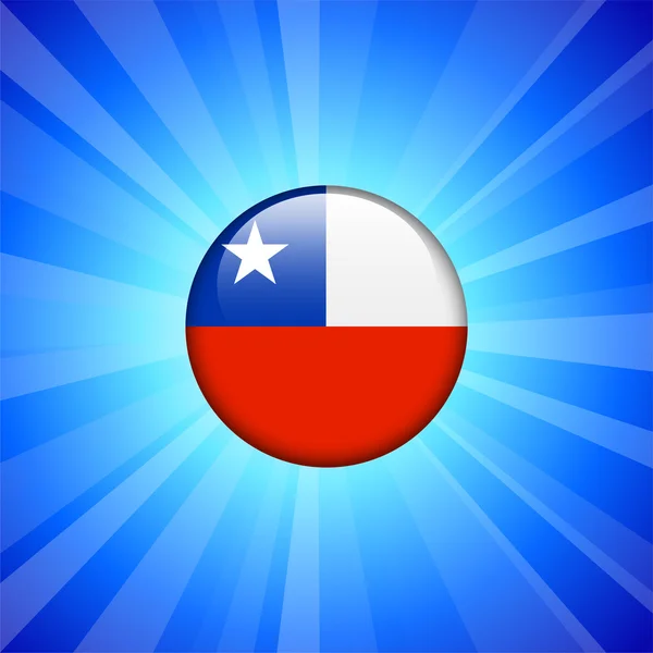 Chile Flag Icon on Internet Button — Stock Vector