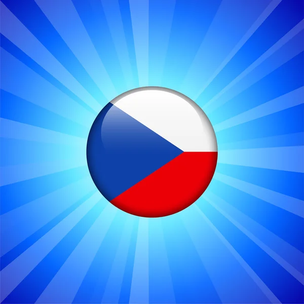 Czech Flag Icon on Internet Button — Stock Vector