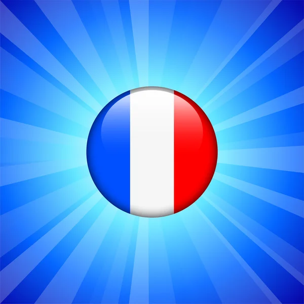 Frankreich Flagge Symbol auf Internet-Taste — Stockvektor