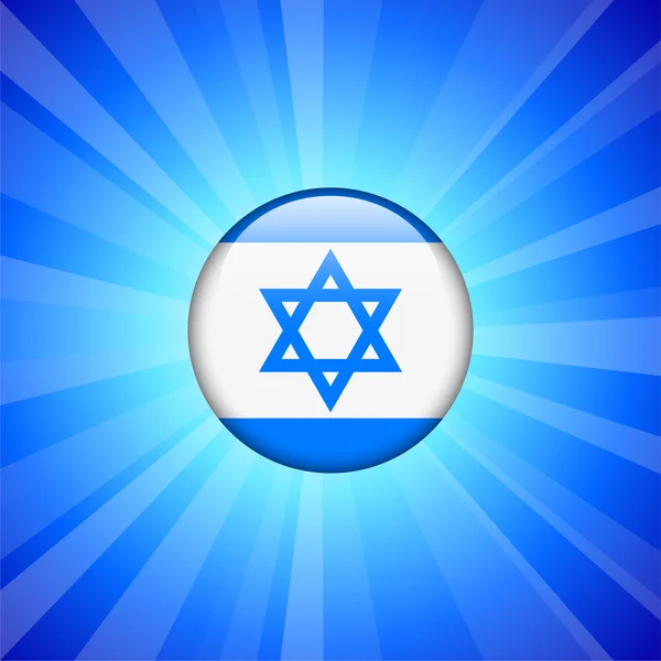 Israel Flag Icon on Internet Button — Stock Vector