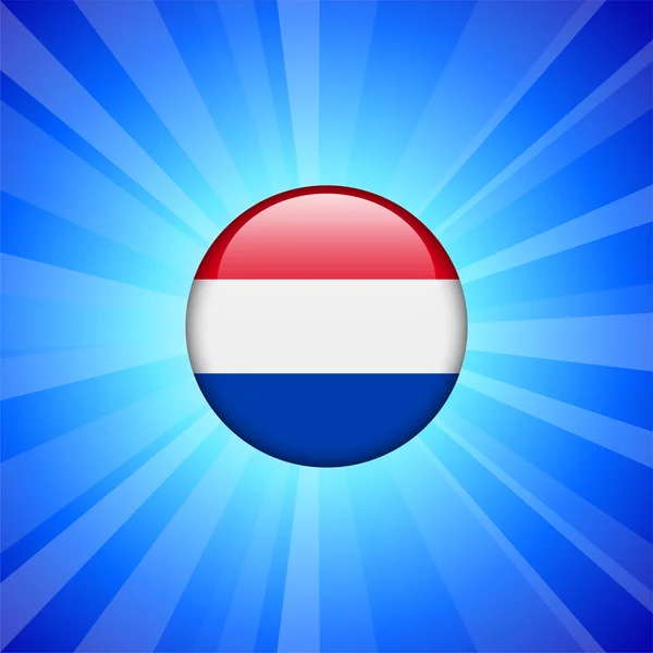 Netherlands Flag Icon on Internet Button — Stock Vector
