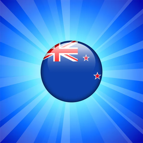 Nuova Zelanda Icona Bandiera su Pulsante Internet — Vettoriale Stock