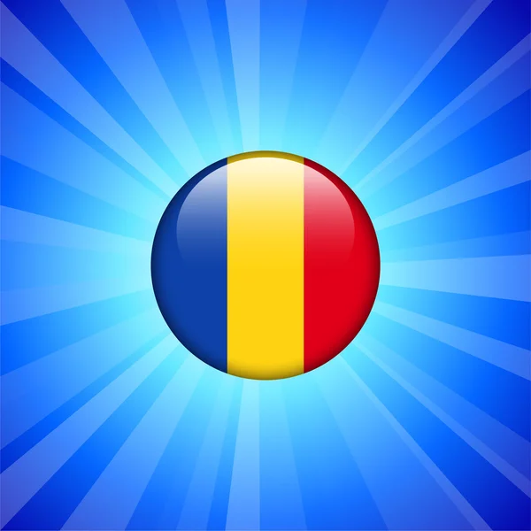 Romania Icona di bandiera sul pulsante Internet — Vettoriale Stock