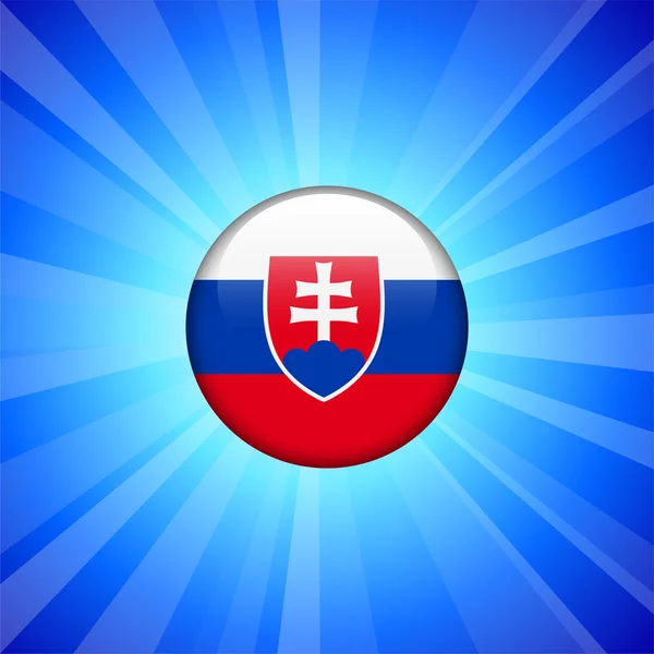 Slovakia Flag Icon on Internet Button — Stock Vector