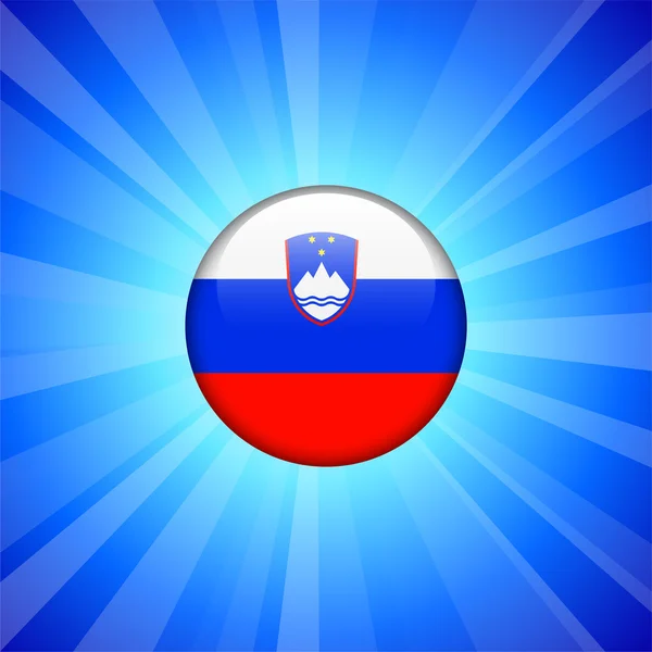 Ikona příznaku Slovinsko na internet tlačítko — Stockový vektor