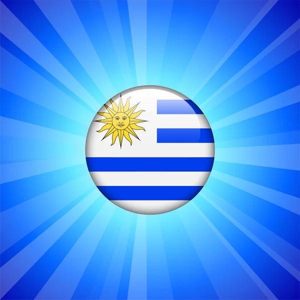 Ícone de bandeira do Uruguai no botão Internet —  Vetores de Stock