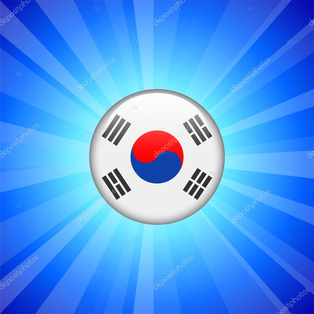 Korea Flag Icon on Button — Stock Vector © iconspro 6510828