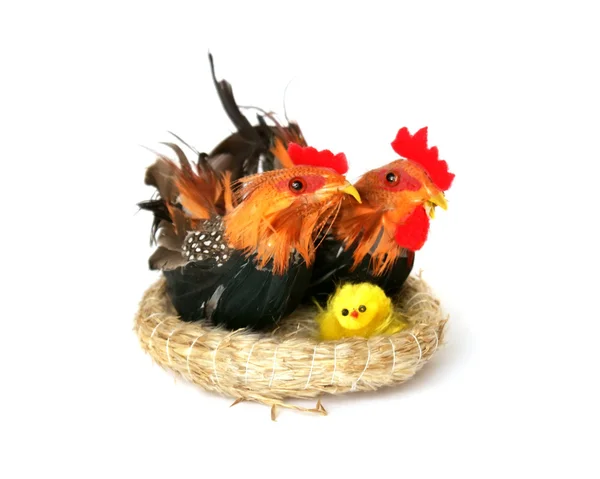 Csirke család Stock Kép