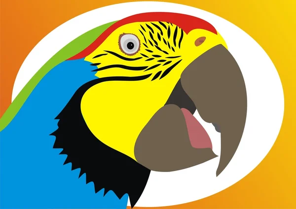 Tête de perroquet — Image vectorielle
