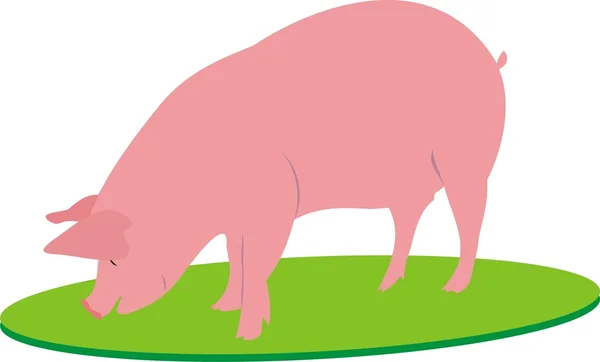 El cerdo grande — Vector de stock