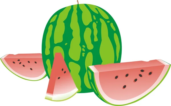 Savoureux melon d'eau — Image vectorielle