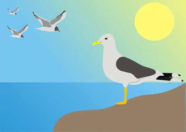 Sea seagull — Stock Vector