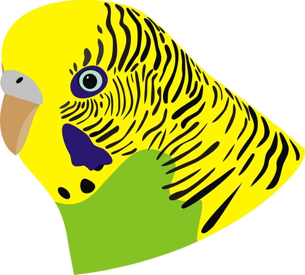 Welliger Papagei — Stockvektor