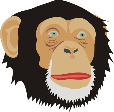 Head of a monkey clipart