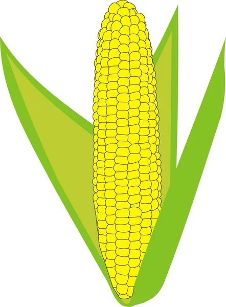 Rijp maïs — Stockvector