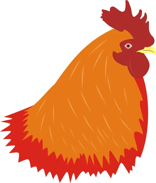Kopf eines Hahns — Stockvektor
