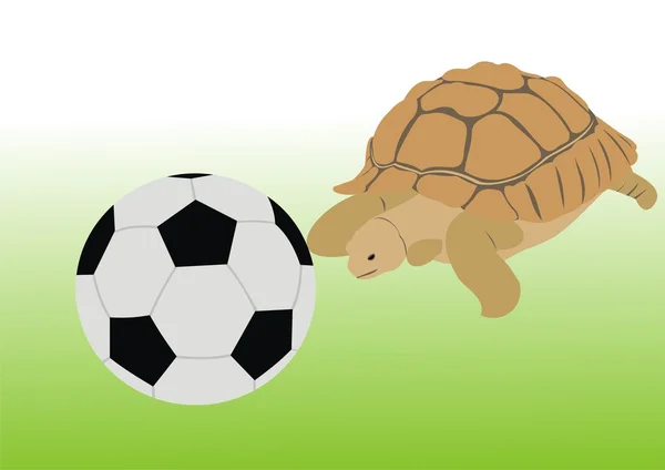 Черепаха с мячом — стоковый вектор
